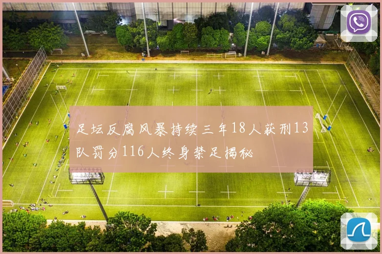 足坛反腐风暴持续三年18人获刑13队罚分116人终身禁足揭秘