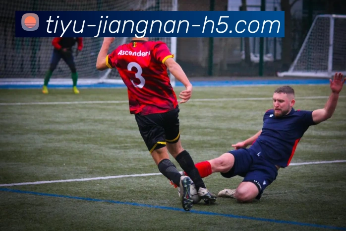 App Interface Preview