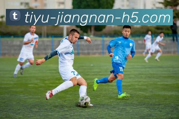 江南体育APP 封面图